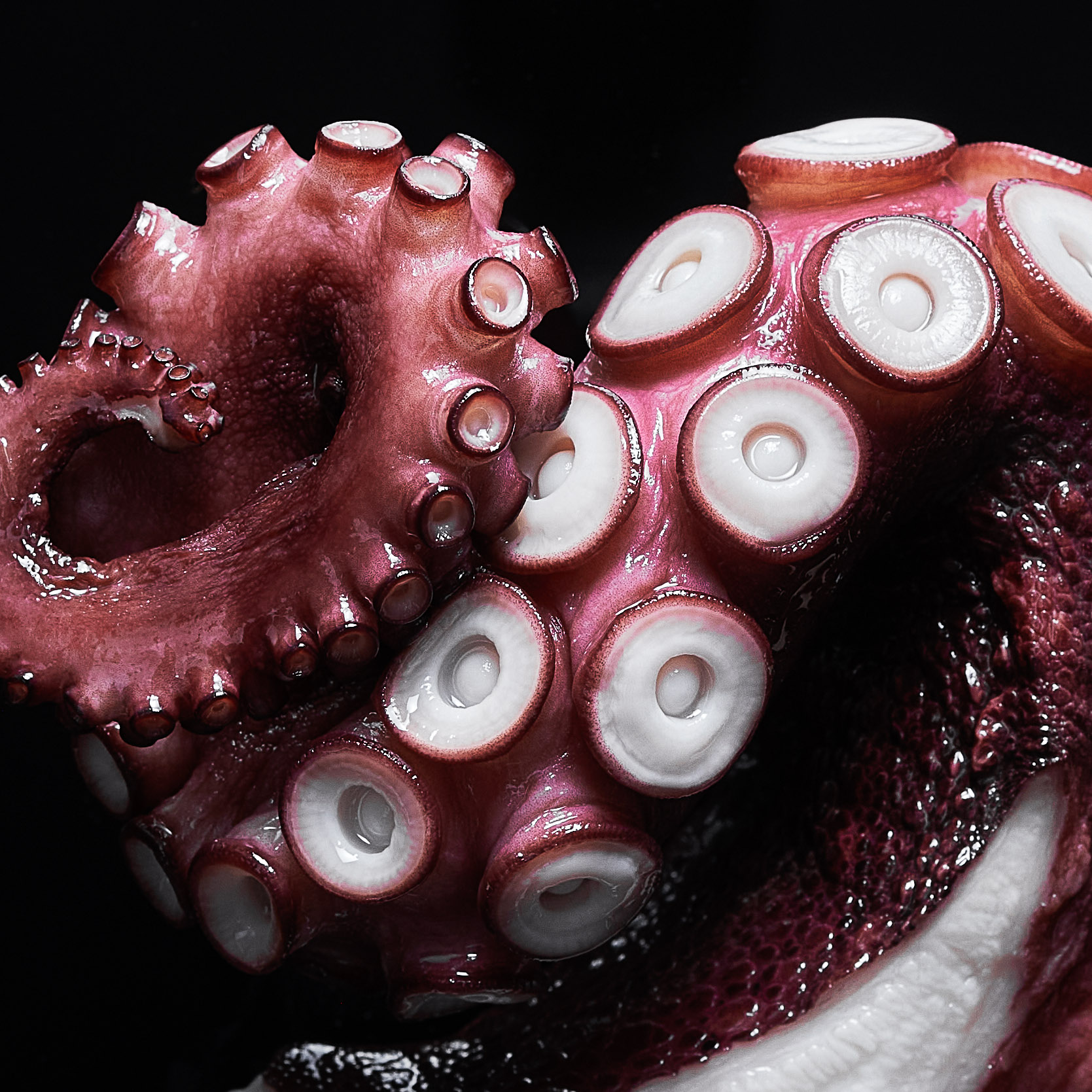 Exotic Asian Cuisine