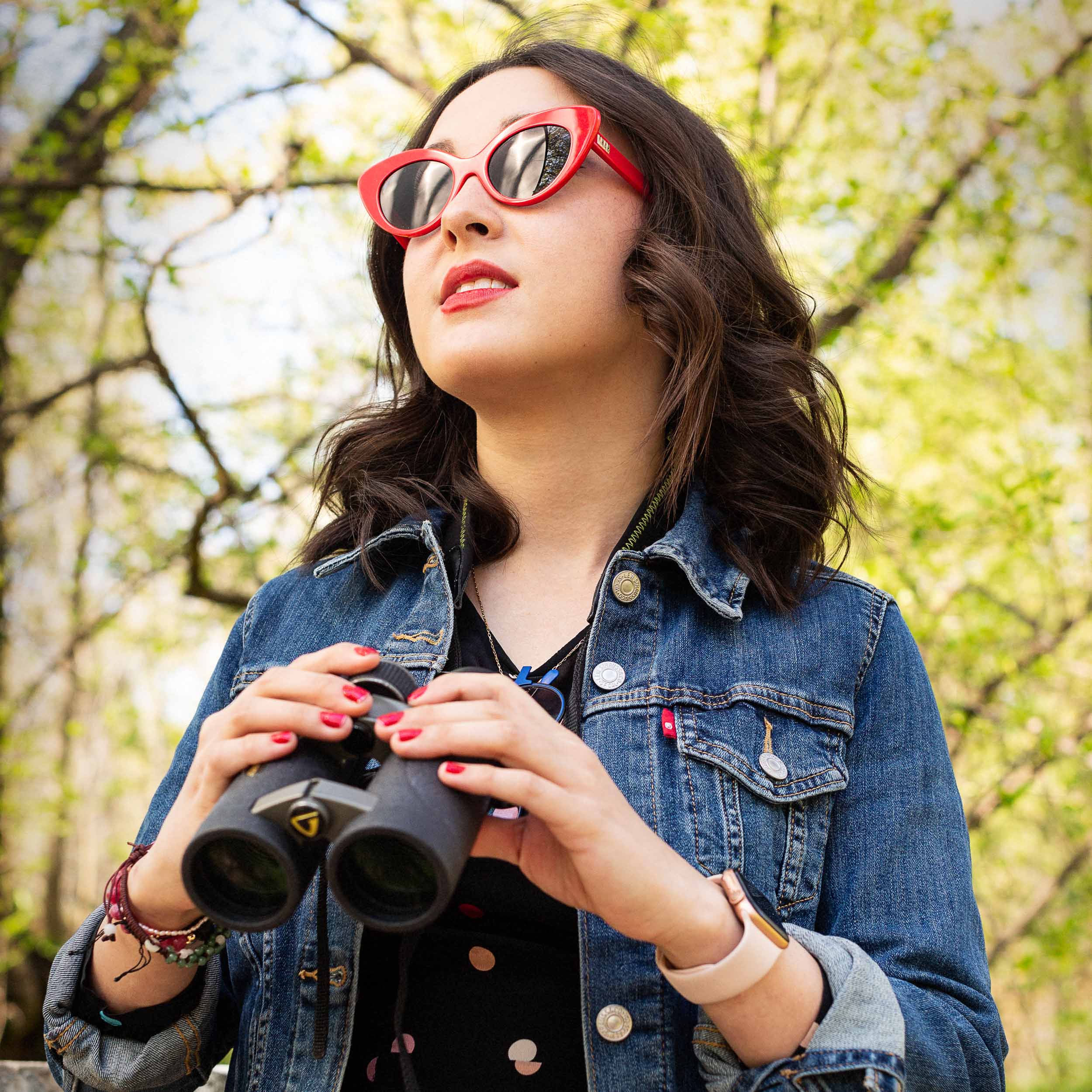 New York City Birders