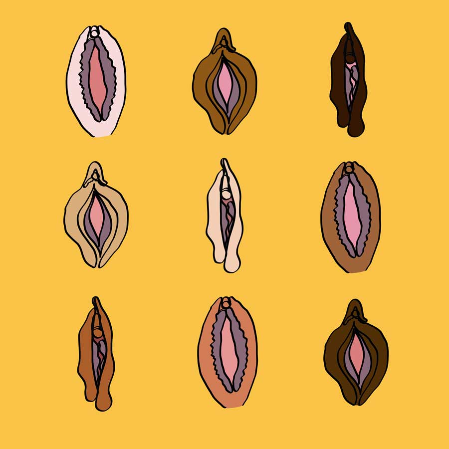 Labia Diversity