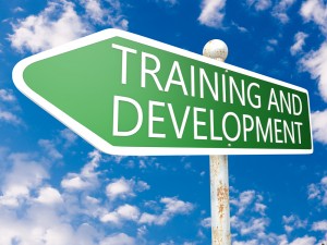 If No One is There to Train a Workforce, Does It Learn - Egnyte Blog