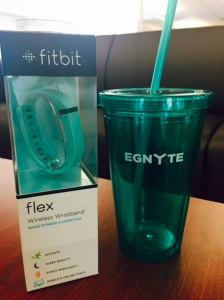 Ready, Set, Step! - Egnyte Blog