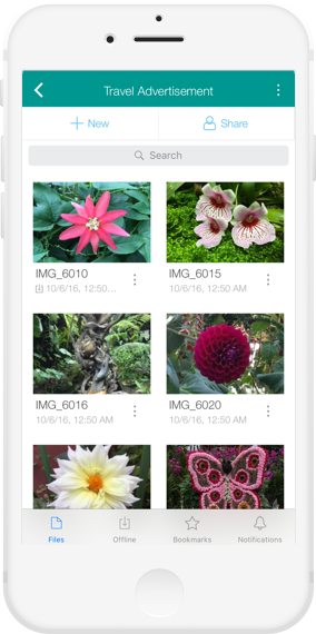iOS 6.7 - Egnyte Blog