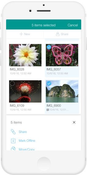 iOS 6.7 - Egnyte Blog