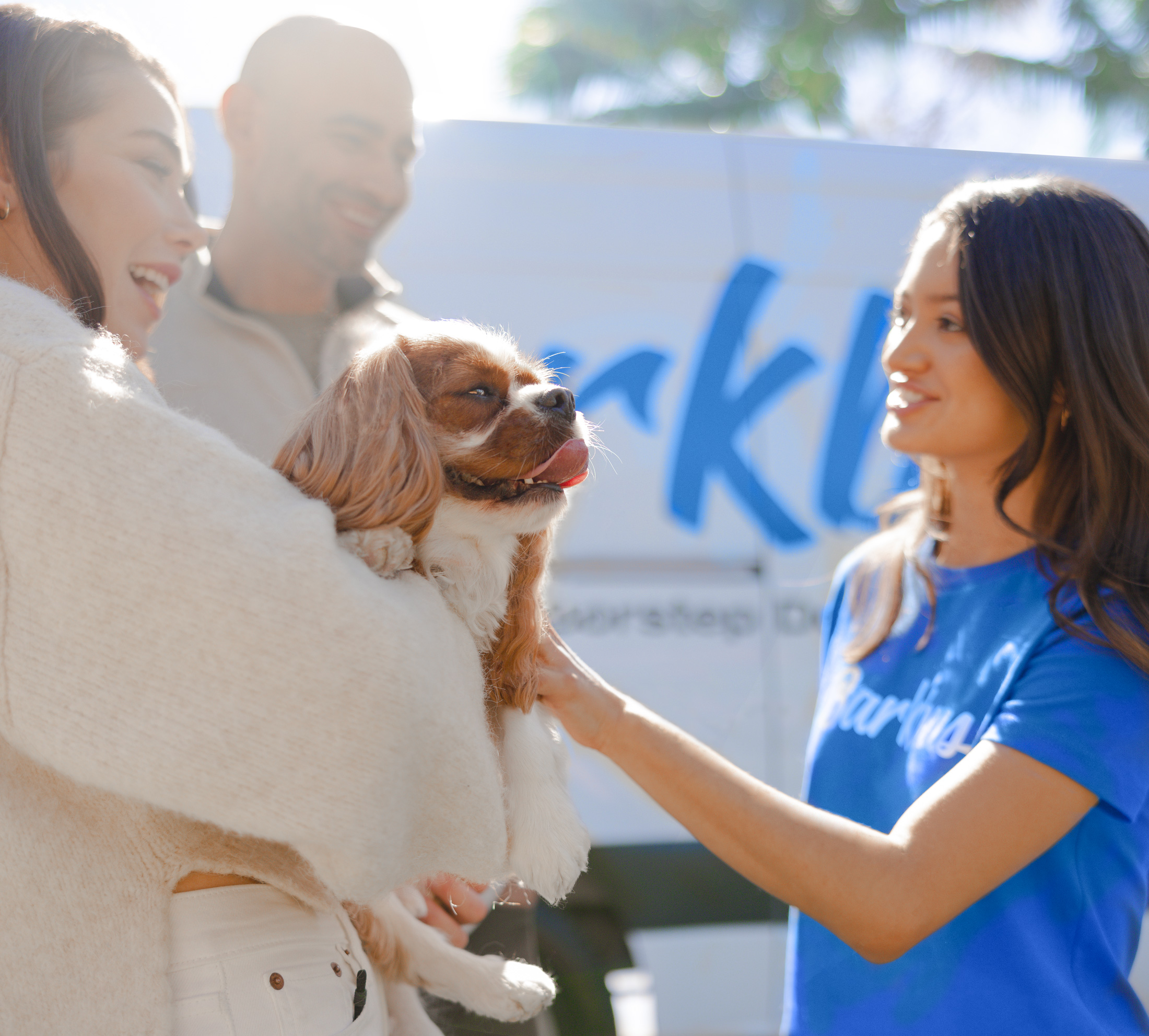 Barkbus Mobile Grooming Luxury Dog Grooming that Comes to You