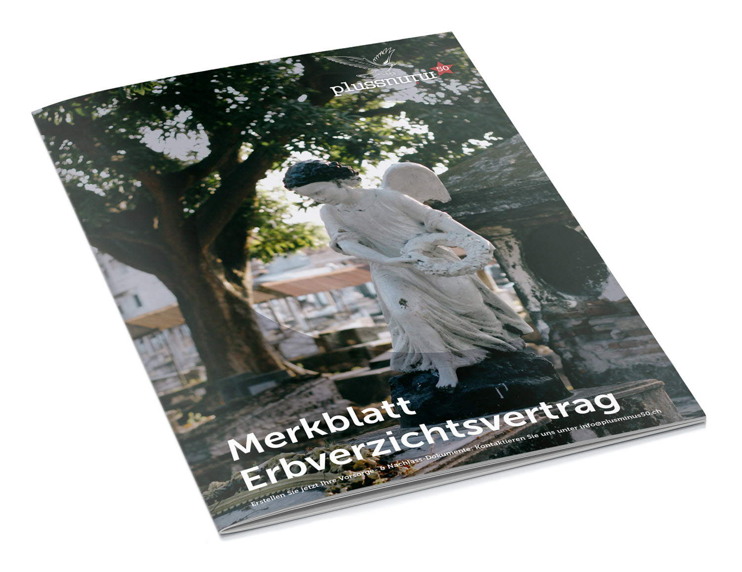 Merkblatt Erbverzichtsvertrag