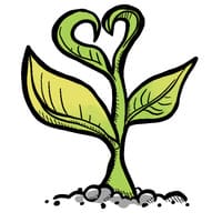 Produits ecologiques bons pour la sante