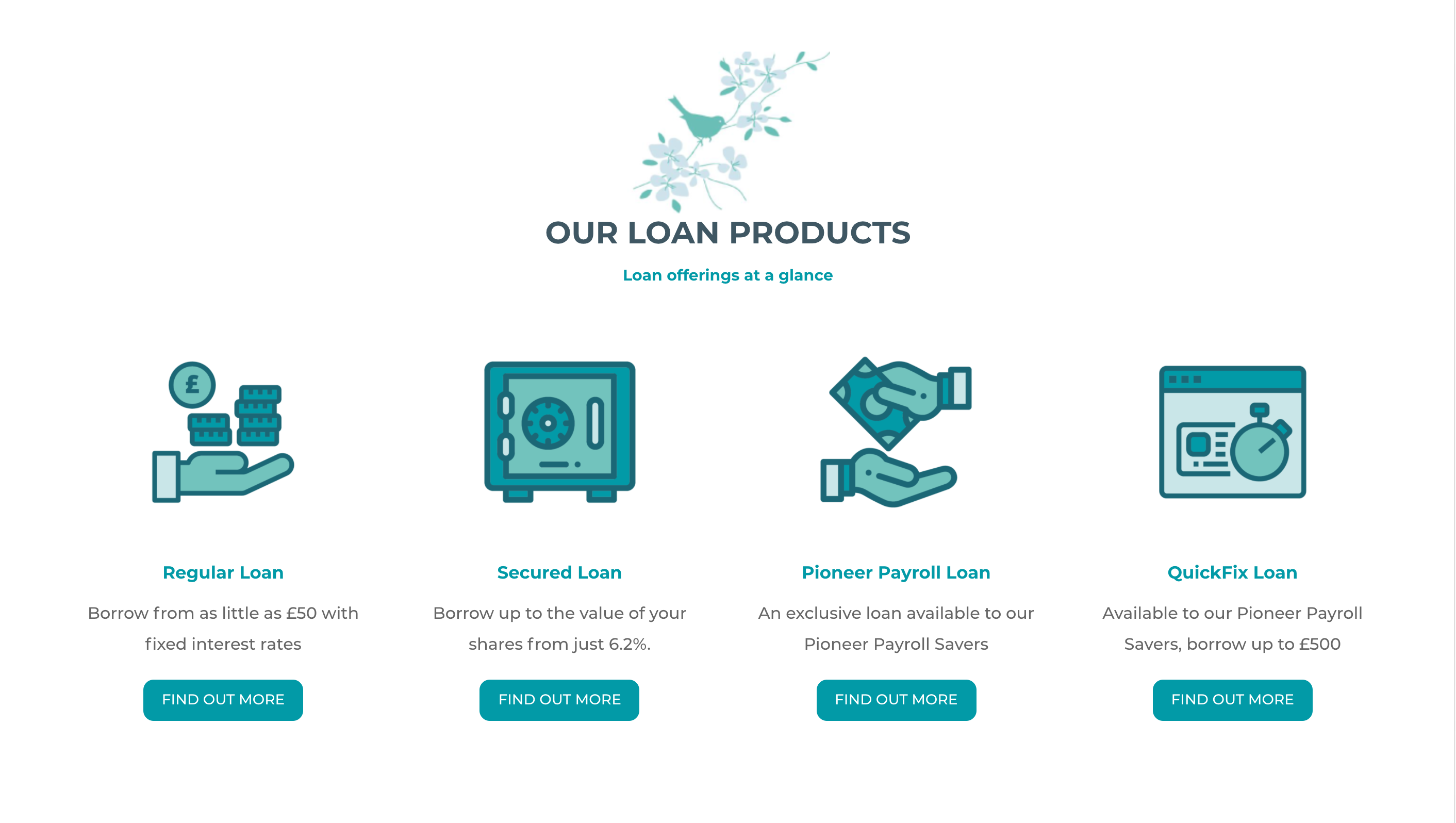 Our work on Pioneer Mutual Credit Union's website