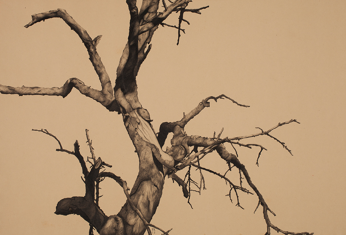 florian raditsch, featured artist, munchies art club, contemporary art platform, drawing, tree