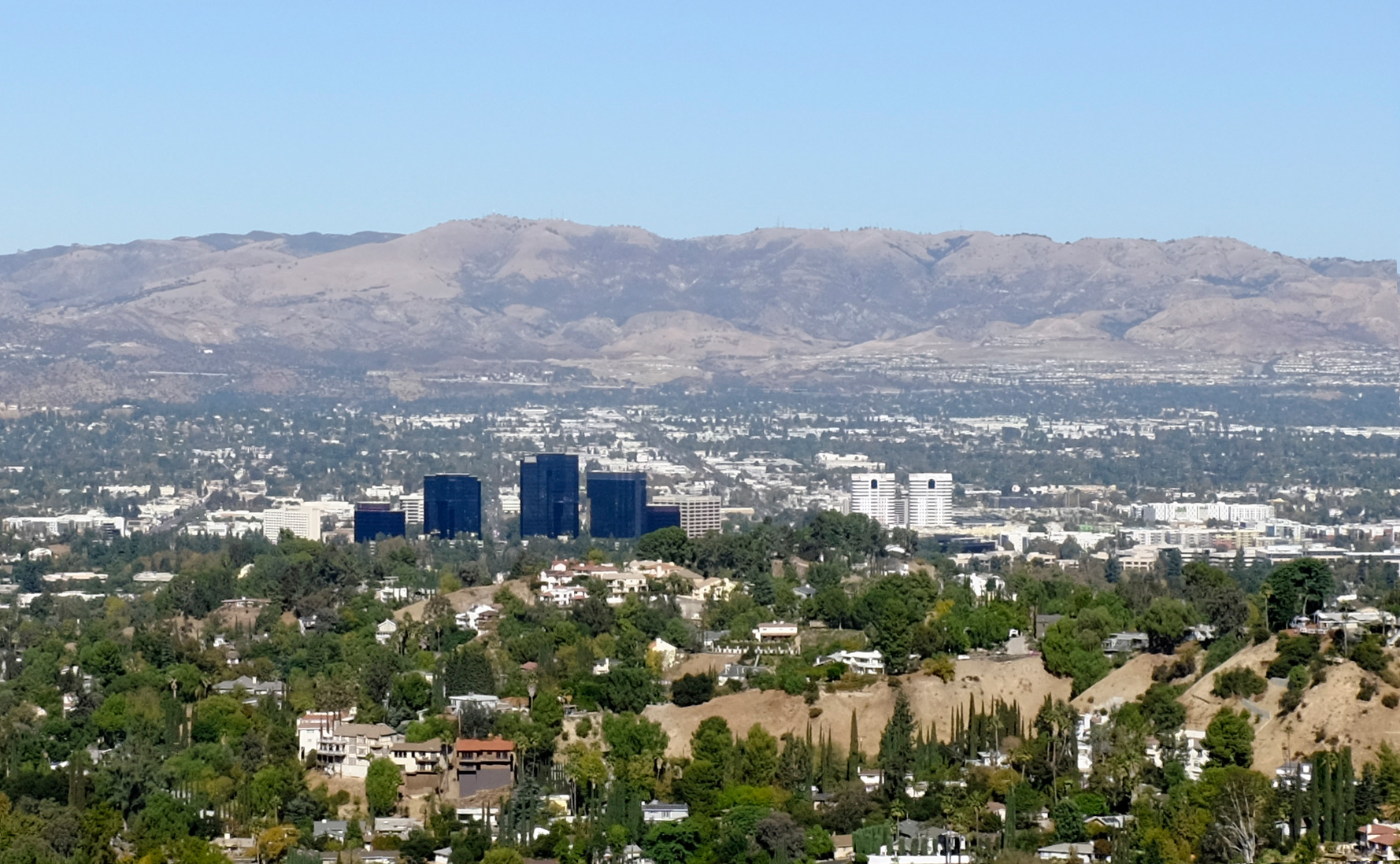 Woodland Hills Mobile Dog Grooming | Award Winning Service - Barkbus