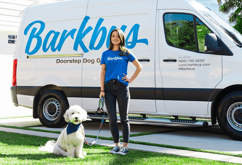 Why It’s Worth Having Your Dog Groomed Professionally Barkbus Ruff Draft