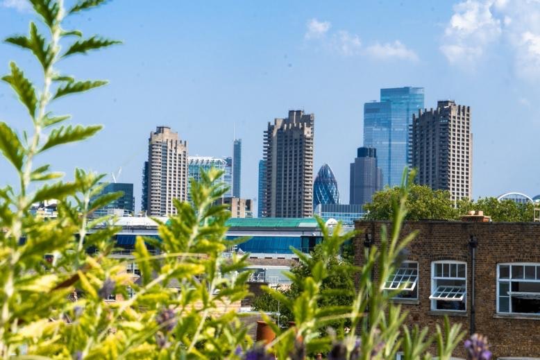 A picture containing outdoor, tree, city, plantDescription automatically generated