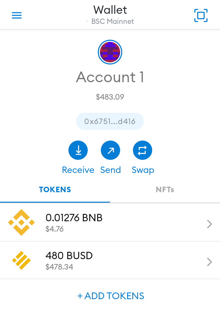 bsc metamask add