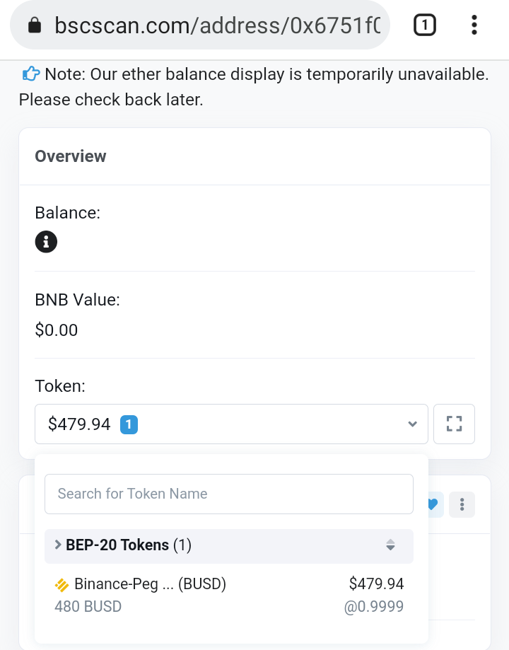 bsc token metamask