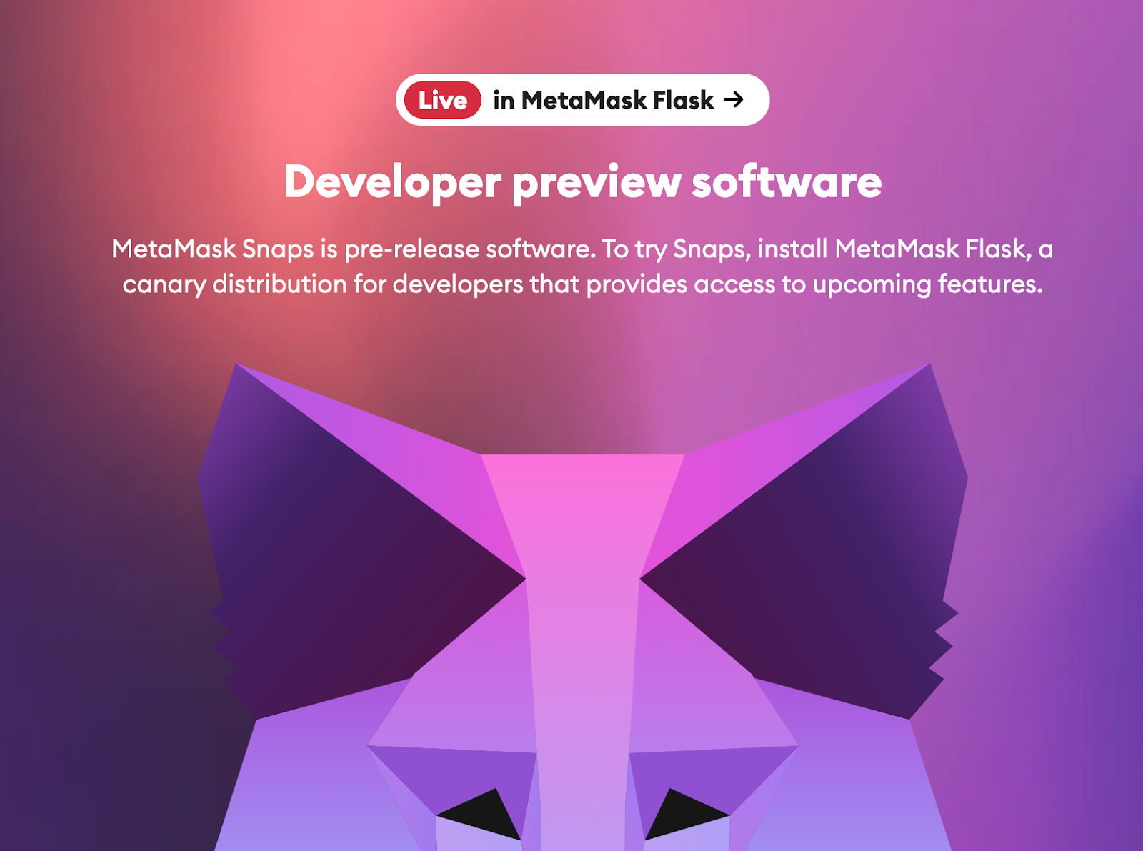 What Is MetaMask’s New ‘Snaps’ Feature?