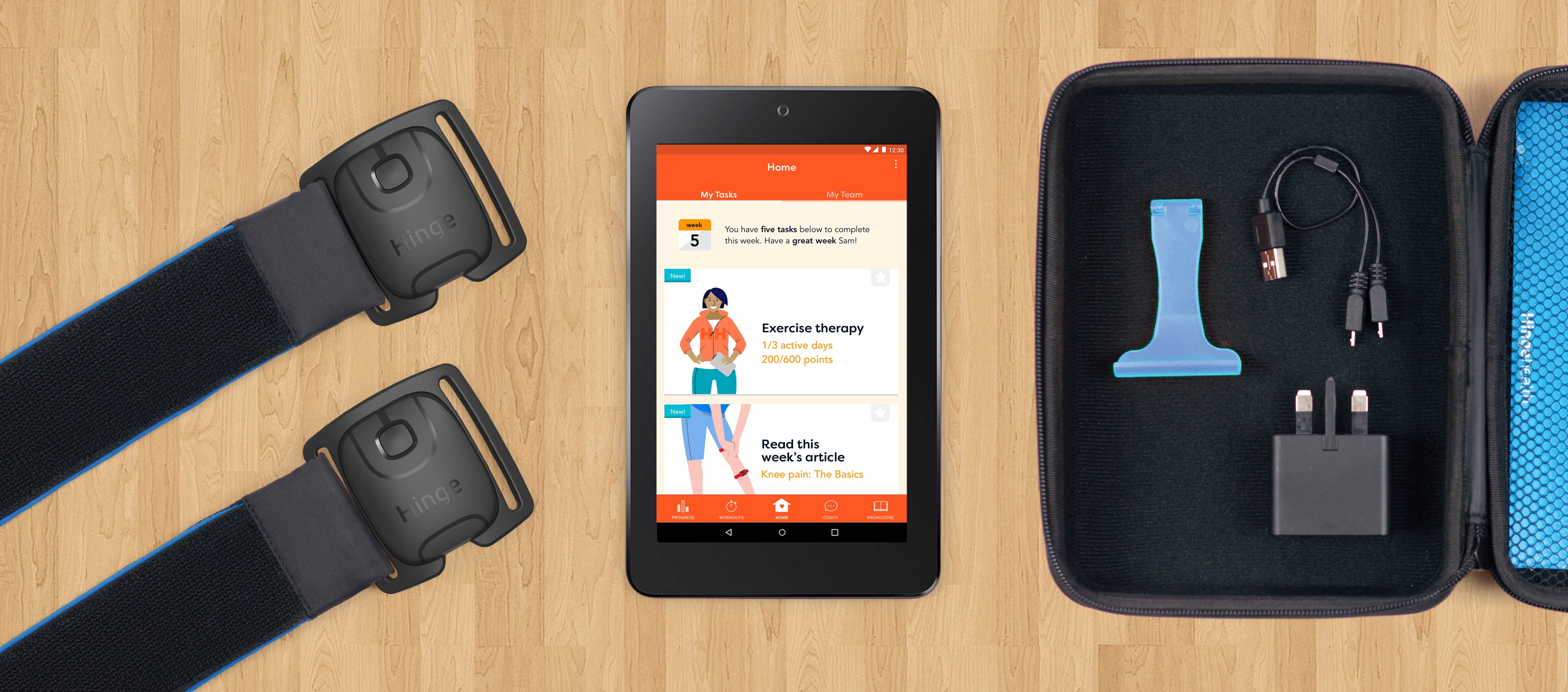 Hinge Health