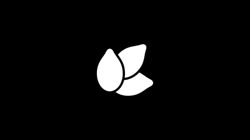 Seed Funding