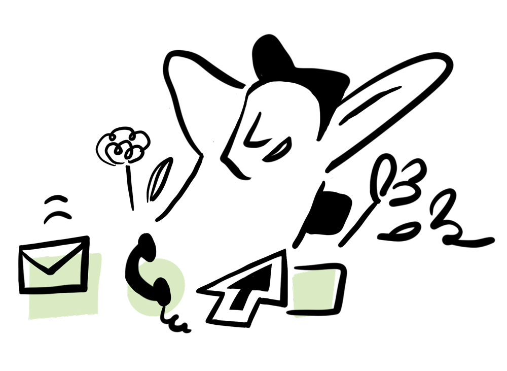 Besichtigungen