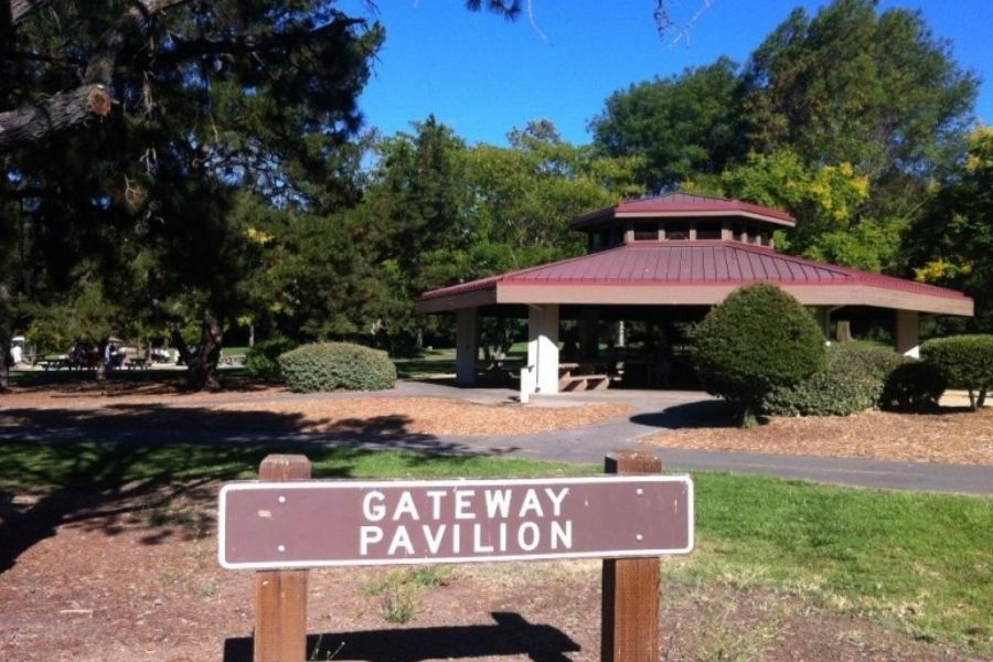 Los Gatos Summer Camps 2021 Camp Edmo