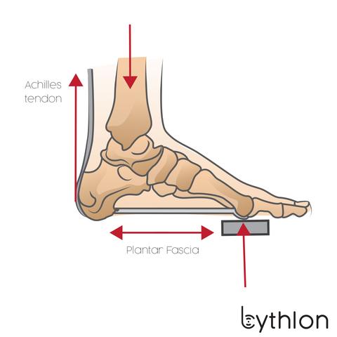 Plantar Fascia and Achilles tendon tension during downstroke