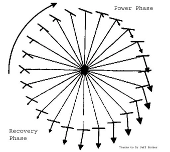 Cycling Clock Diagram, Pedal strike forces according to Dr. Jeff Broker