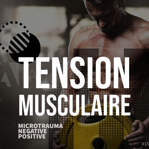 prise de masse perte de poids perte de gras programme prise de masse programme musculation