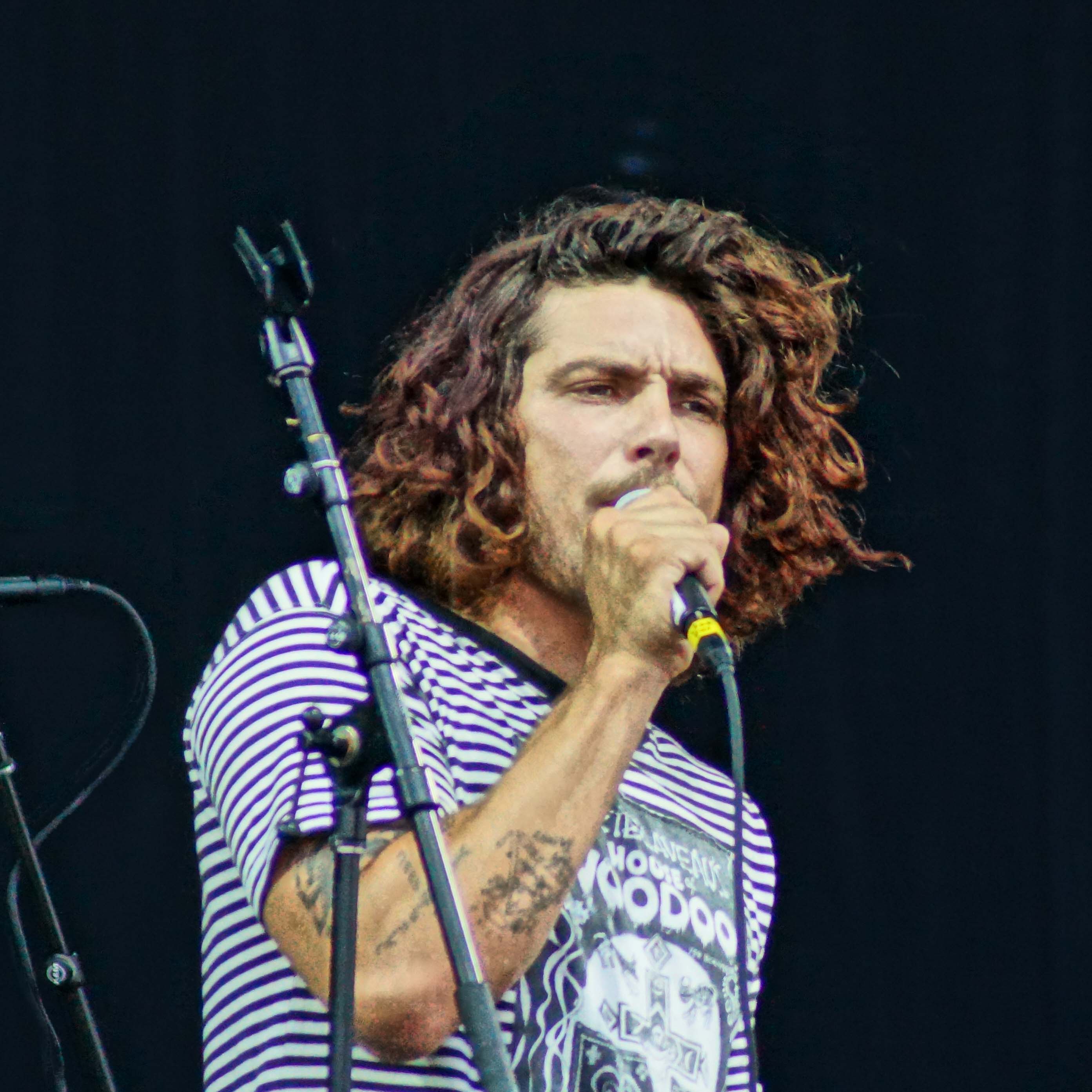 The Growlers Concert Reviews LiveRate