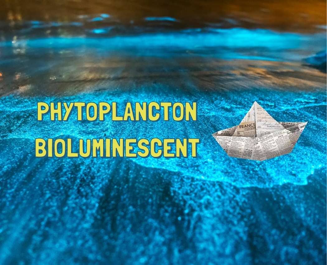 Toi aussi t'as envie de changer le monde sans sacrifier ton plaisir ? Rejoins Juliette pour supprimer le plastique à usage unique de nos maisons !