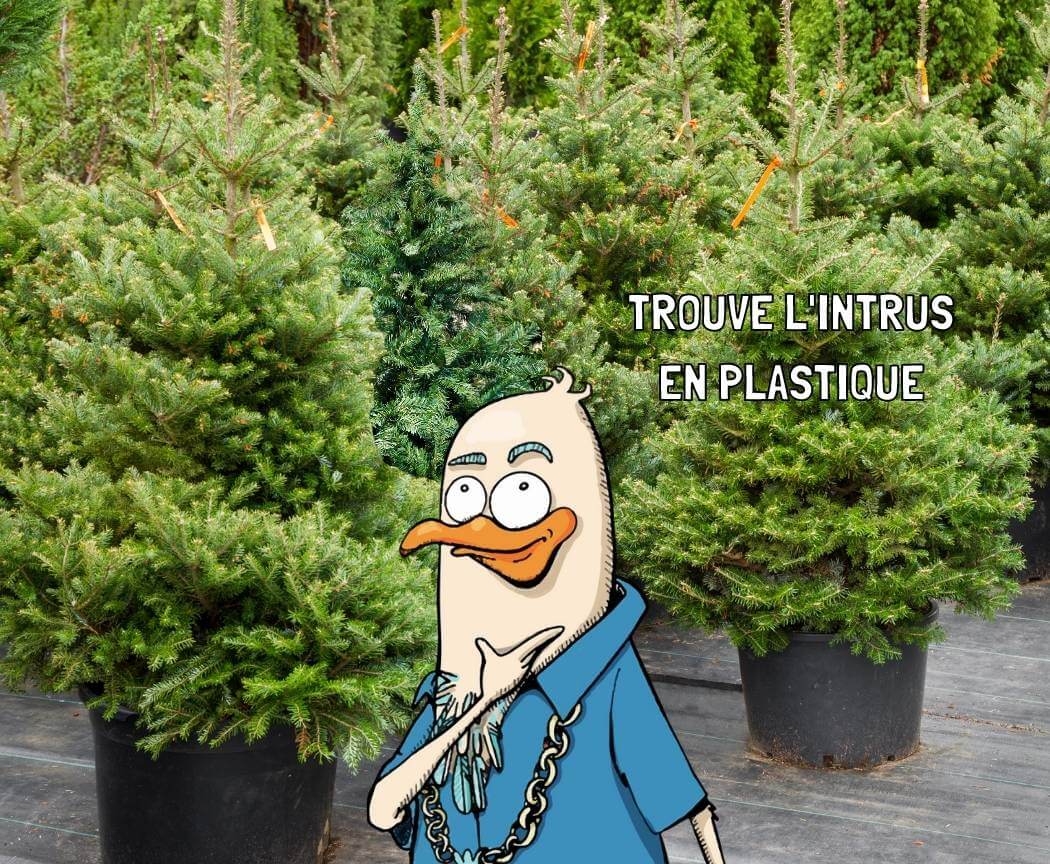 Un sapin en plastique se cache dans les sapins naturels