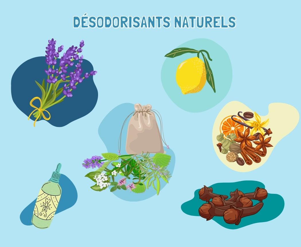 Faire son désodorisant maison grâce à nos recettes faciles ! | Pimpant