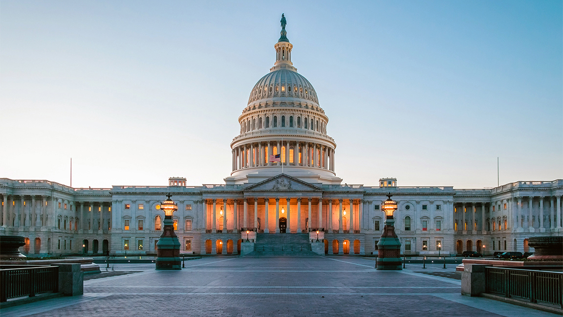 Image of the US Capitol representing US federal government