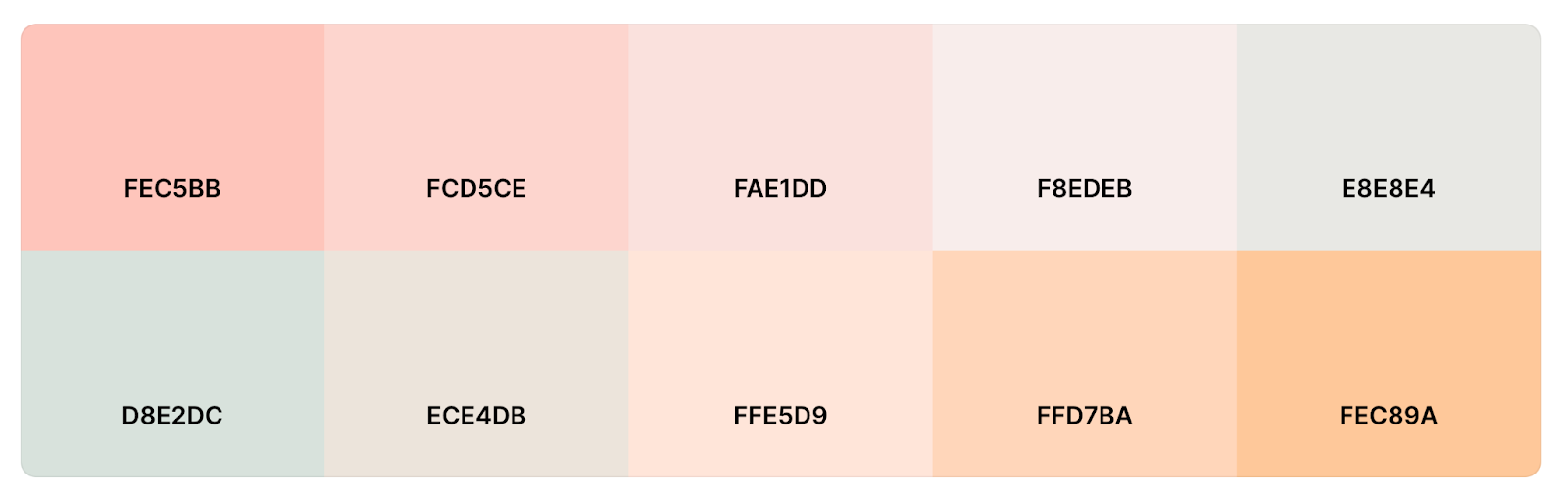 one color palette that will be used for the Shopify ecommerce business
