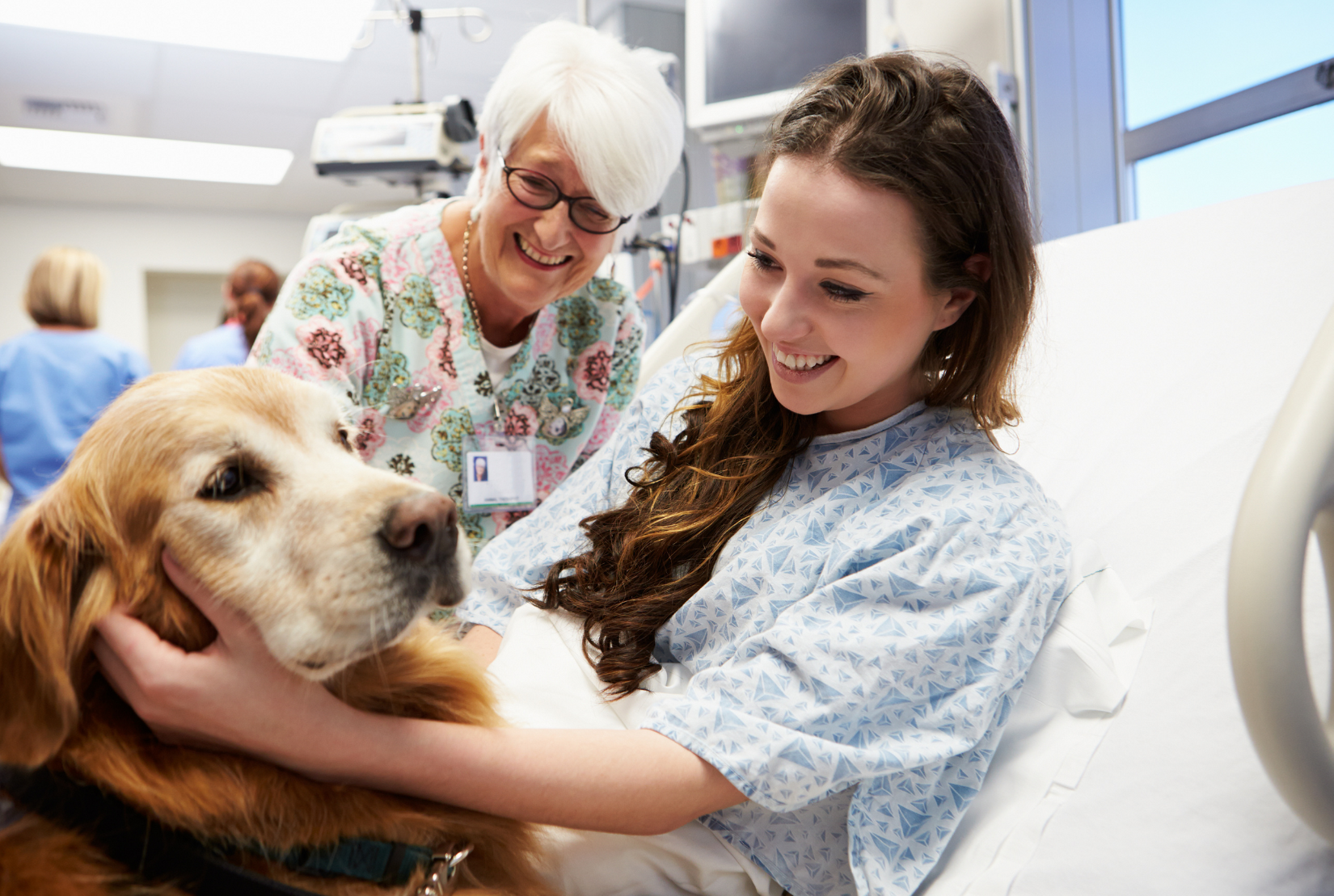 dog visiting woman in hospital