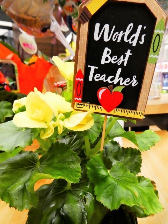 plant with world's best teacher sign