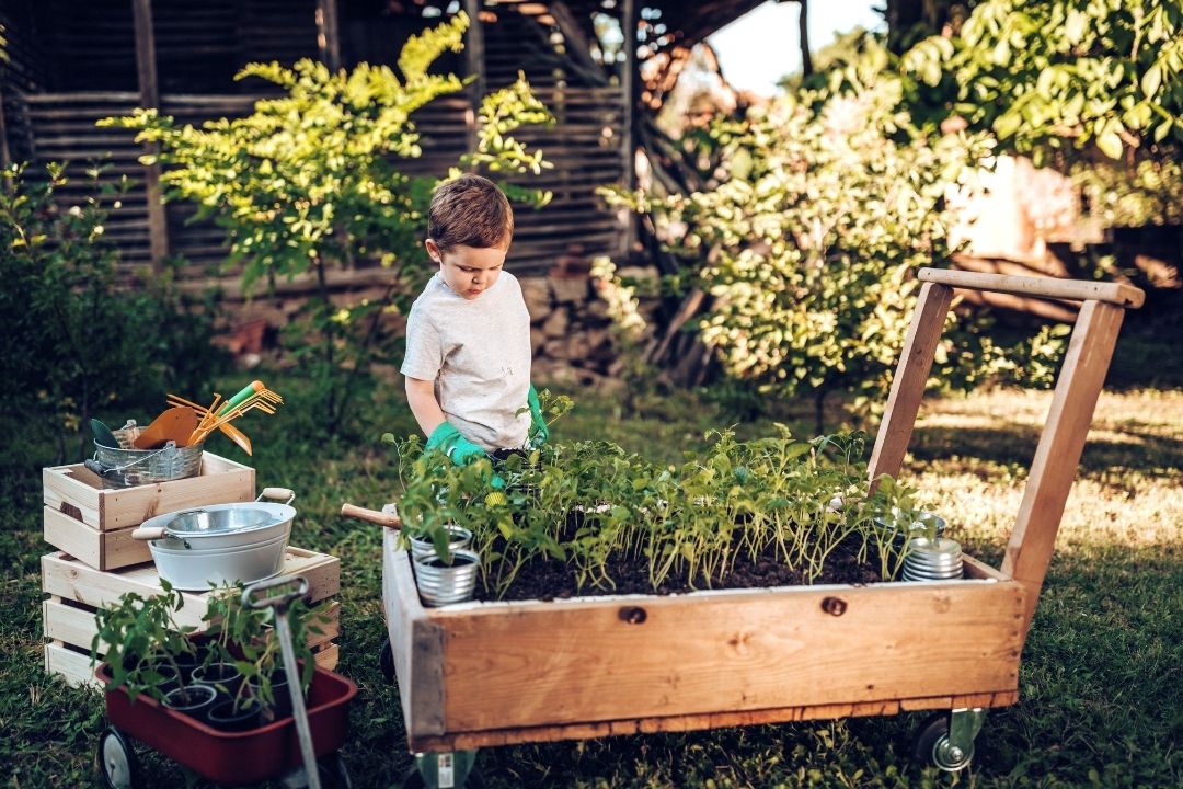 little boy working in garden