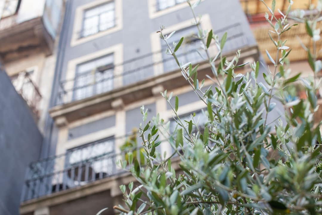 Mo House, Porto Handpicked by JO&SO