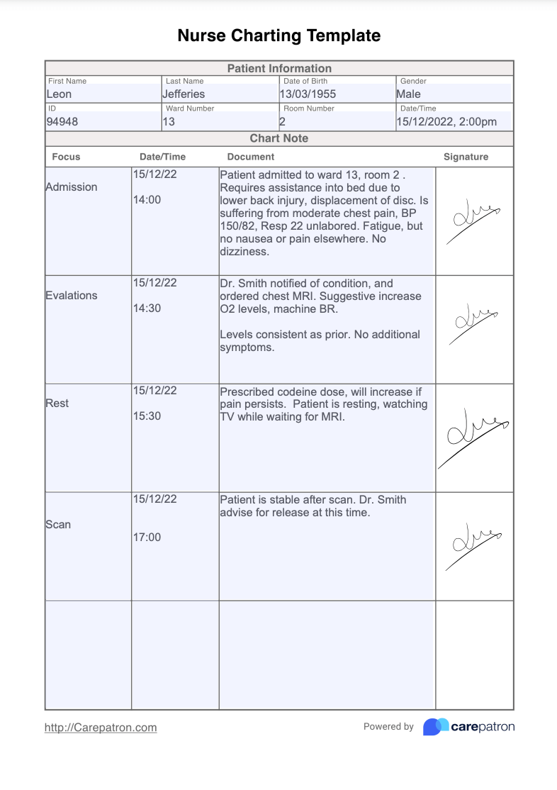 Free Printable Blank Nurses Notes : Basic Nursing Notes Pdf: Complete With Ease