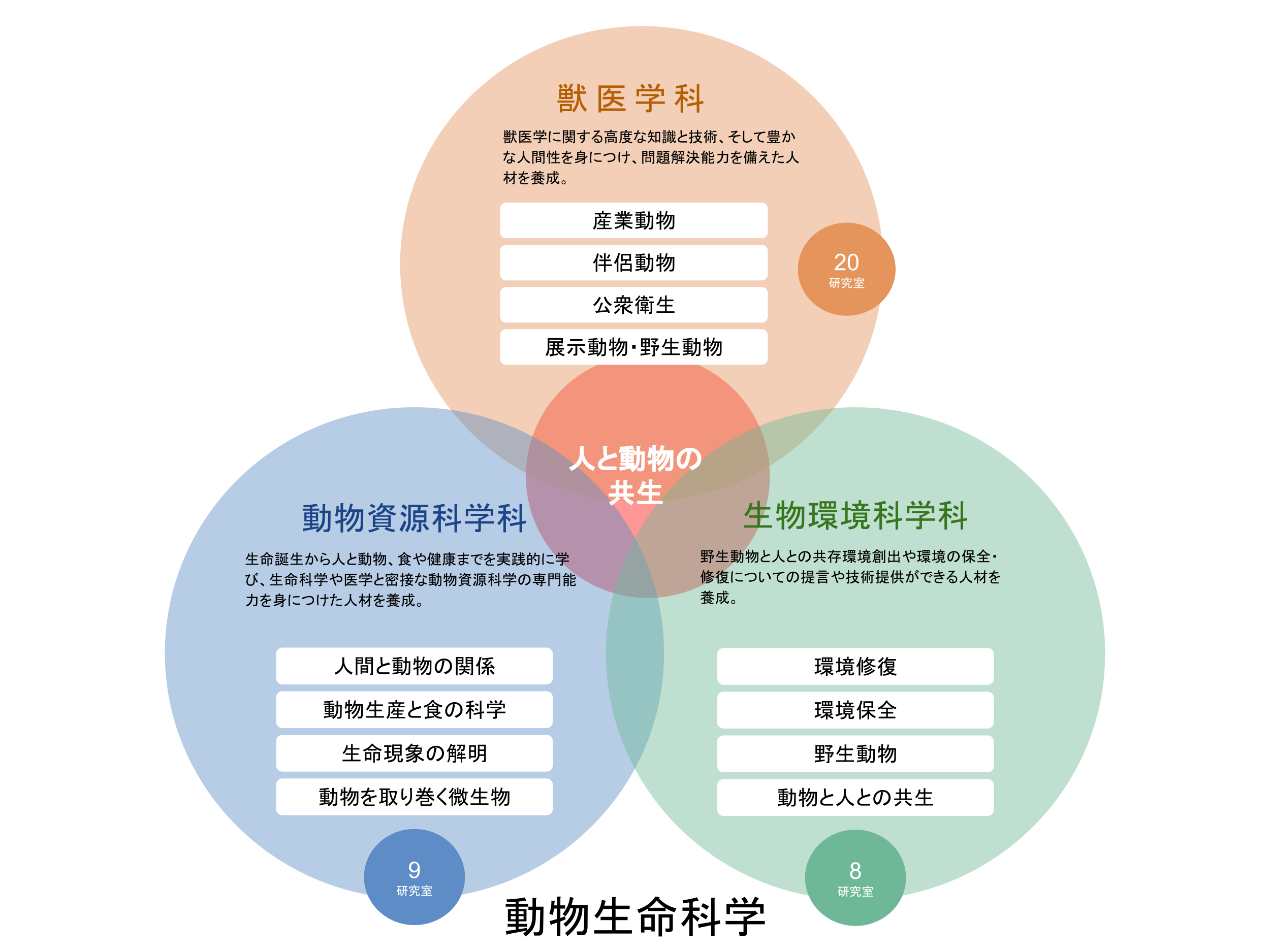 獣医学部の概要