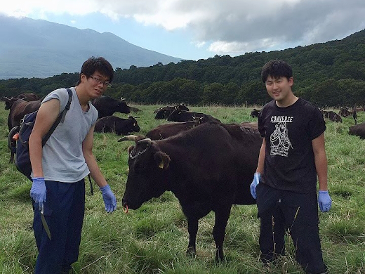 阪口 敬栄 北里大学獣医学部