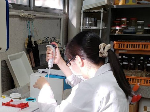 草島 育惠 北里大学獣医学部