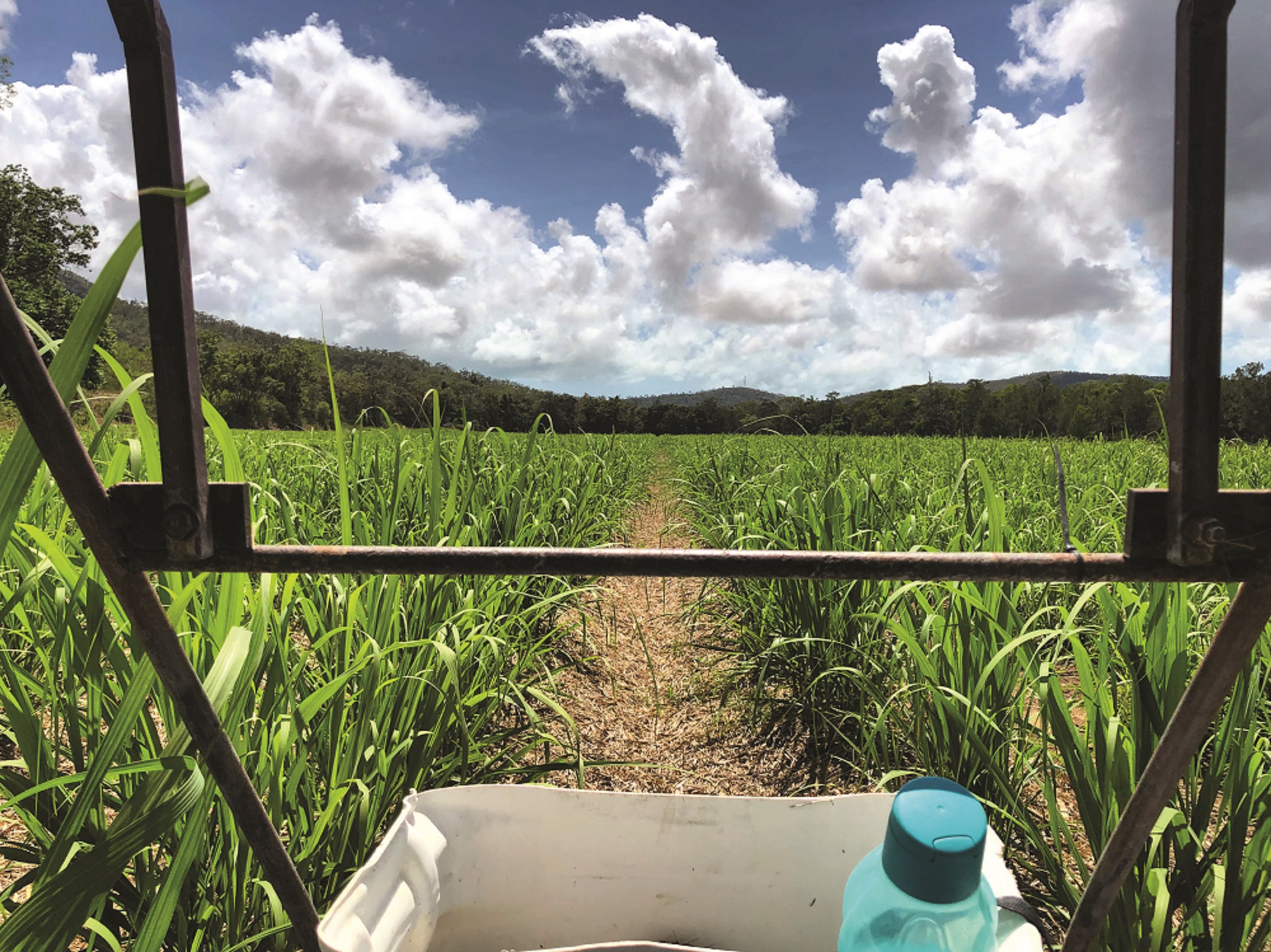 Ag Career Can Take You To The Cutting Edge Mackay Whitsunday LIfe