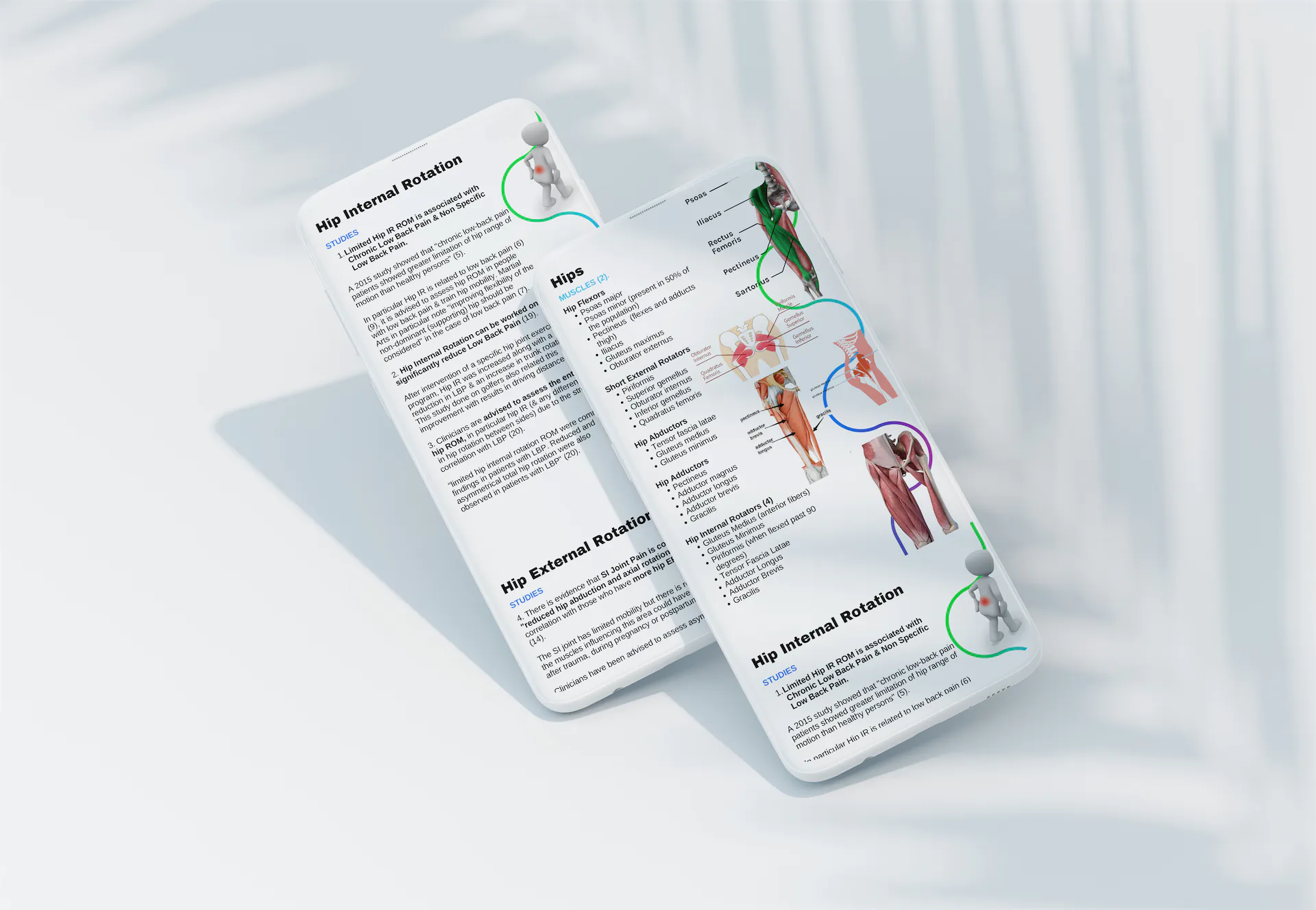 Mobility Training & Low Back Pain Course Flow Motion Fitness