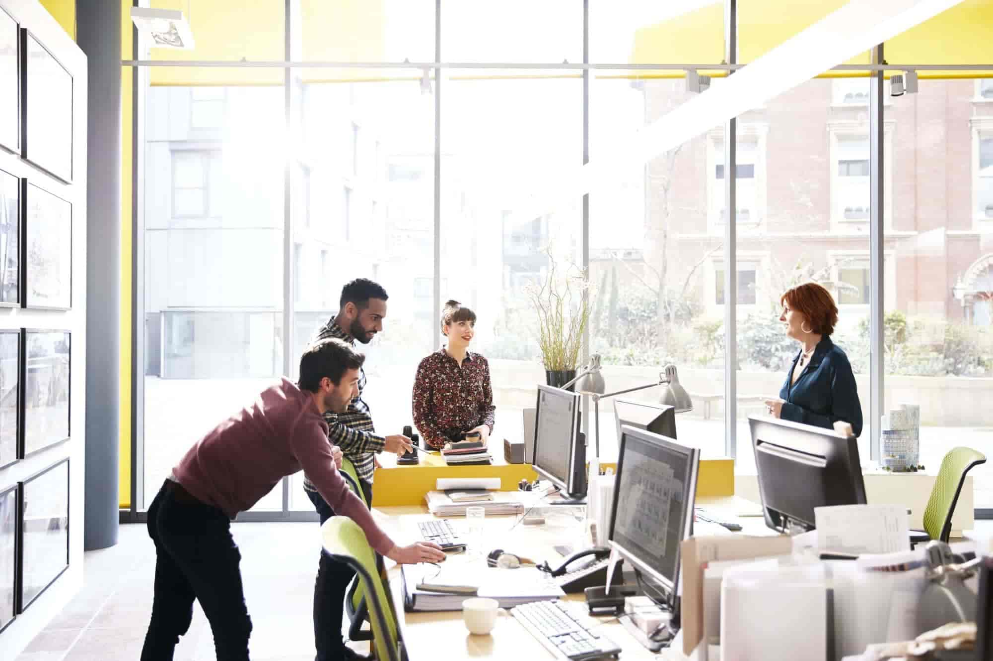 Capital humano e intelectual: definição, importância e como desenvolvê-los na empresa?