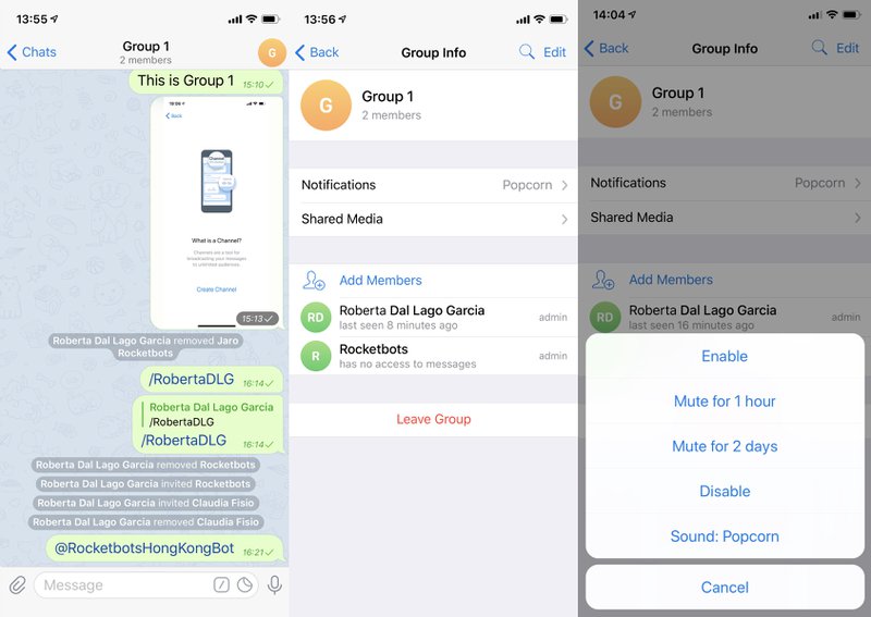 To manage Telegram Groups notification settings navigate to Info > Notifications.