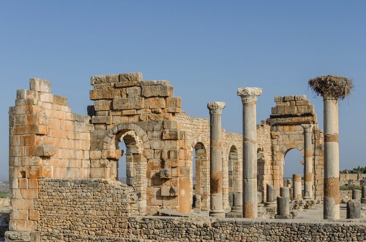 Volubilis.jpeg