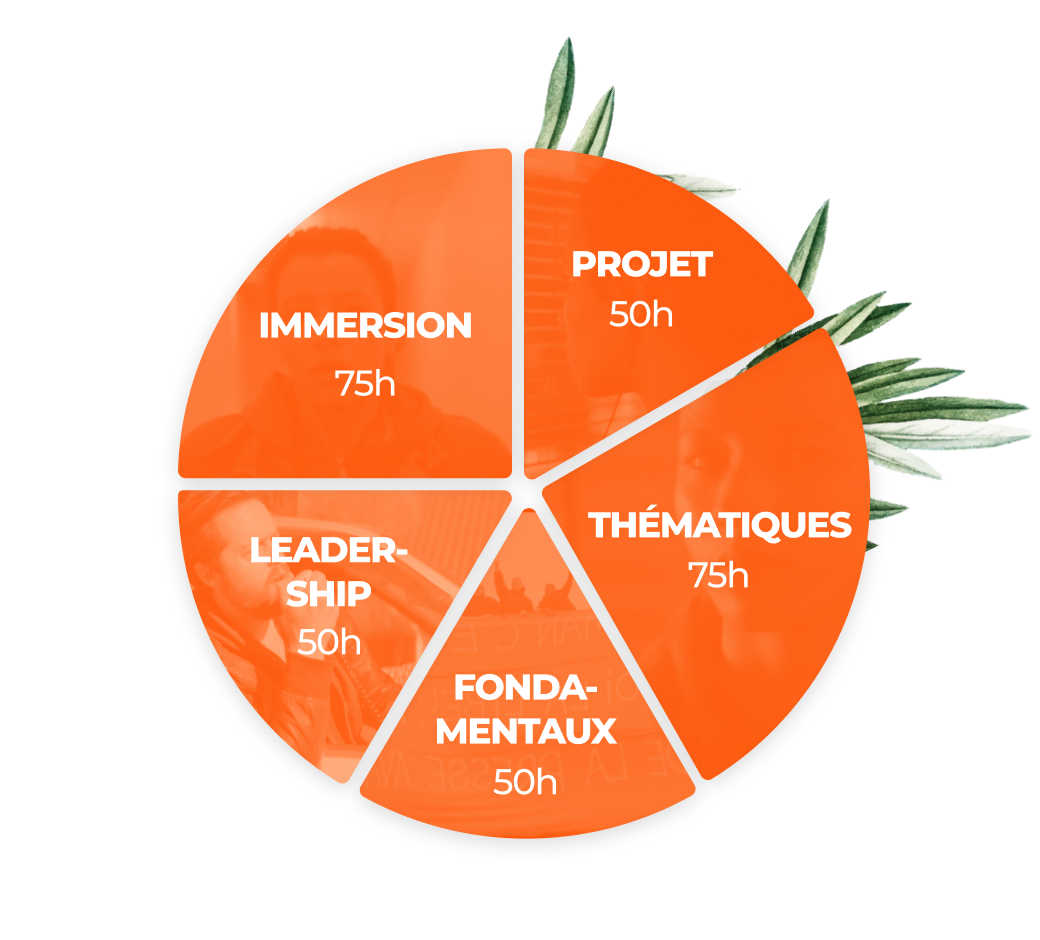 Graphique camembert en 5 parts : Projet, Thématiques, Fondamentaux, Leadership et Immersion