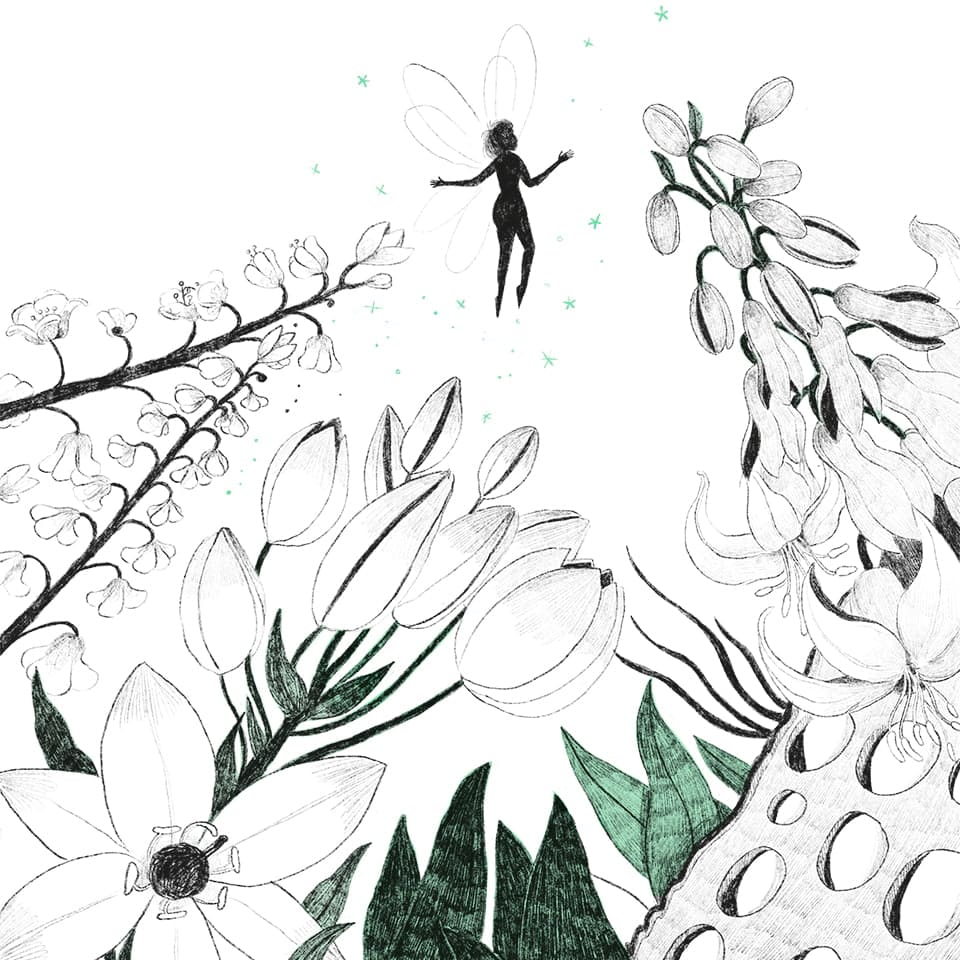 Peter Pan Editorial Alma