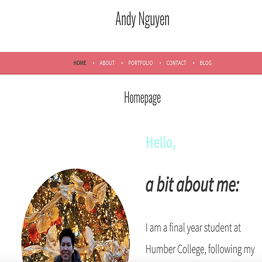 A screen shot of a web page with the desiger's face and menu bar at top. The Homepage says Hello.