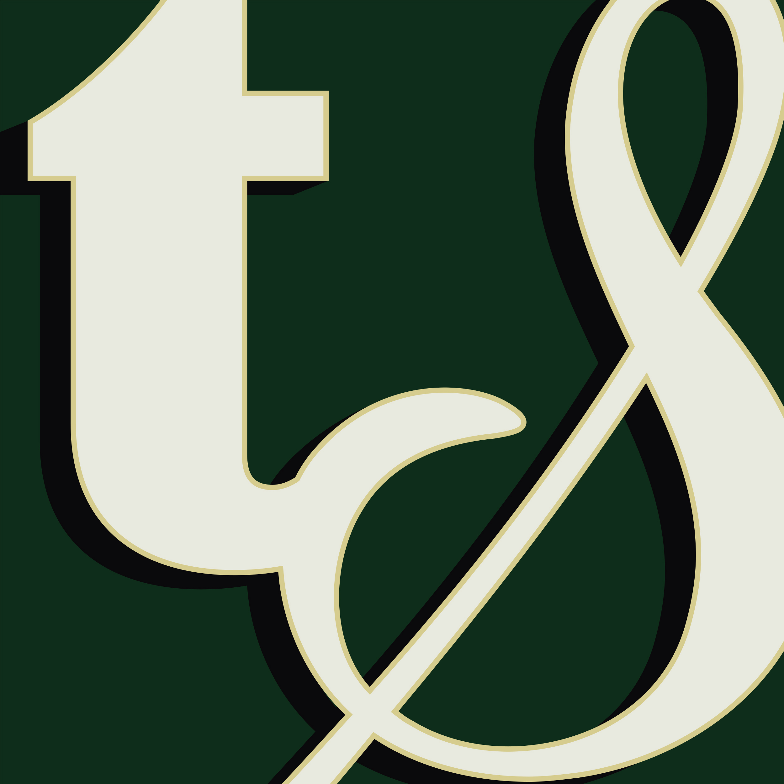 Tina Sapundzhieva logo. T and S in serif typeface on a green background.