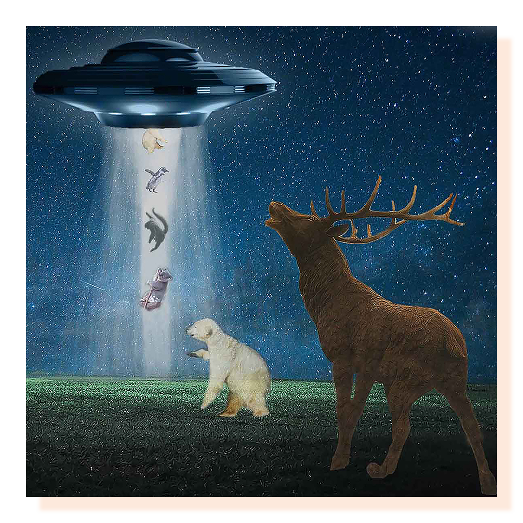 A composite image of a moose and bear looking up at a spaceship in a starry sky