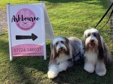 Ashbourne Dog Grooming Salon